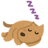 inu